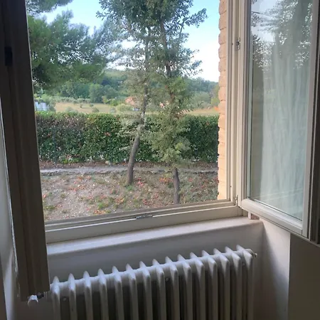 Lory 3* Fara Filiorum Petri