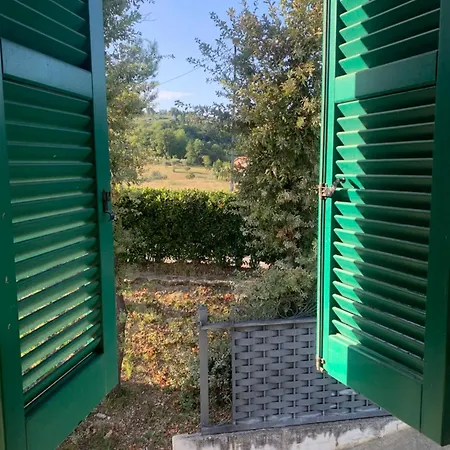Lory Fara Filiorum Petri