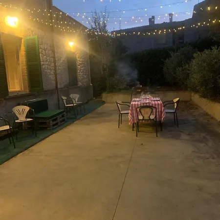 Lory Fara Filiorum Petri