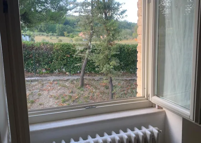 Lory 3* Fara Filiorum Petri